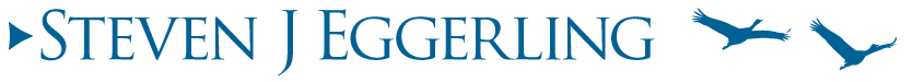 Steven J Eggerling Wordmark